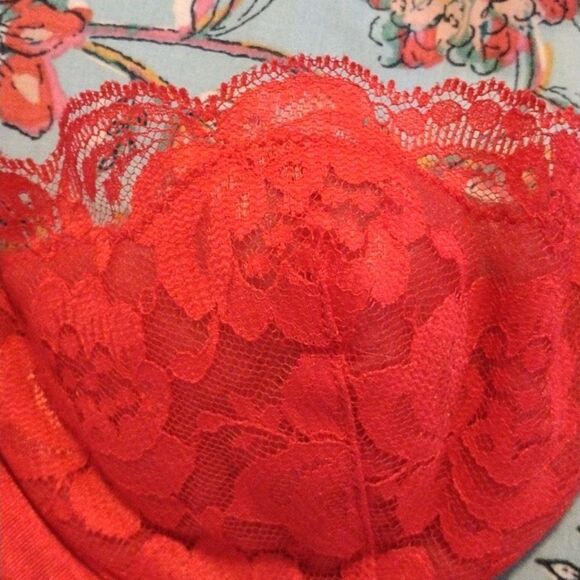 Red Lace Bra  - Picture 7 of 7